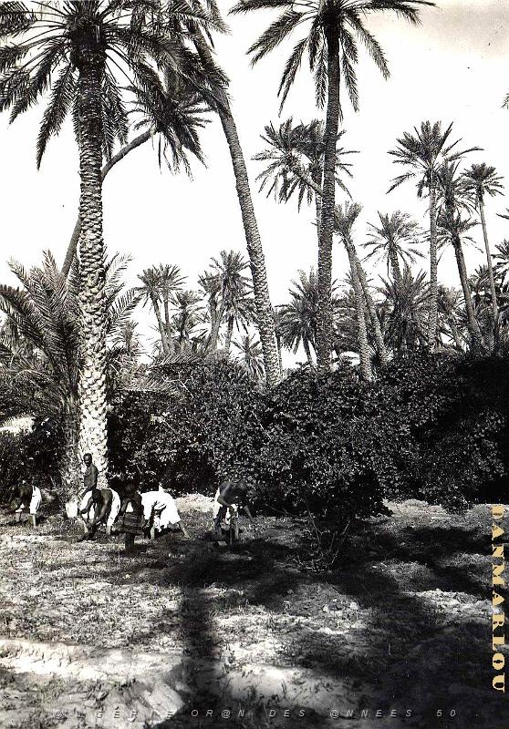Sud oranais 005-Monneret.jpg